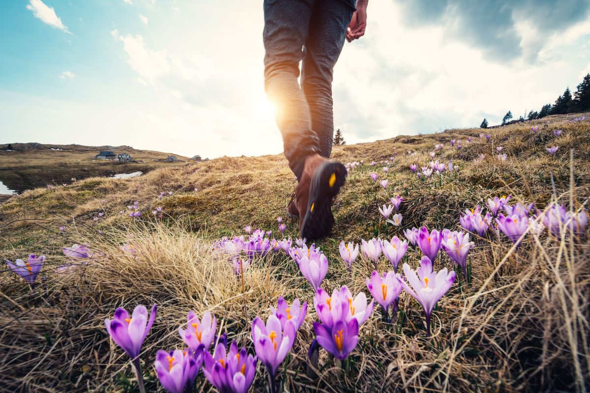 CBD and Outdoor Wellness: Enhancing Your Spring Activities